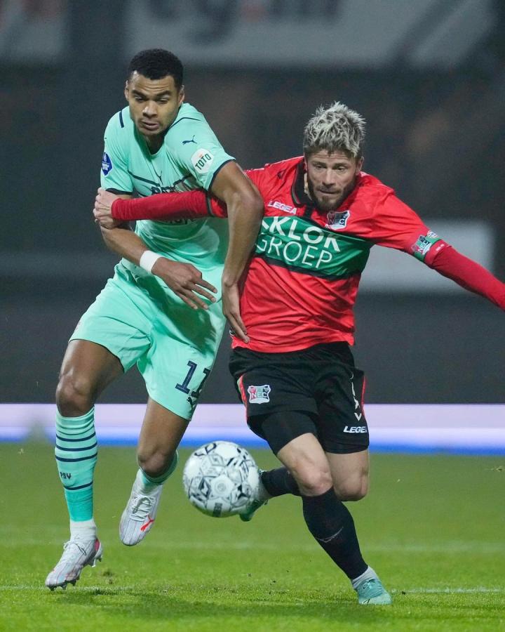 名单中囊括 名单中囊括